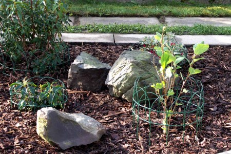 Pravá část - detail