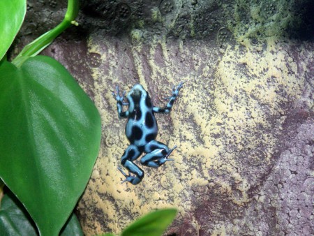 Reportáž  -  Č. 1